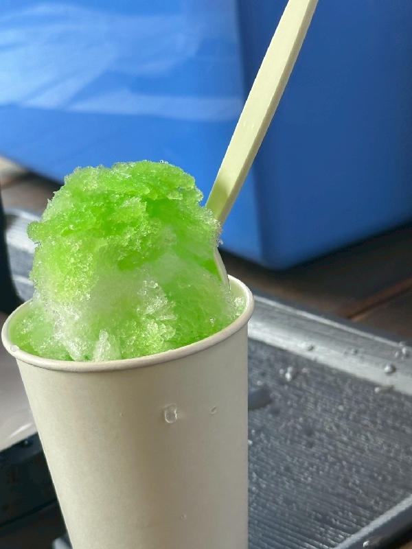 れもんの木の夏祭りに参加しました。